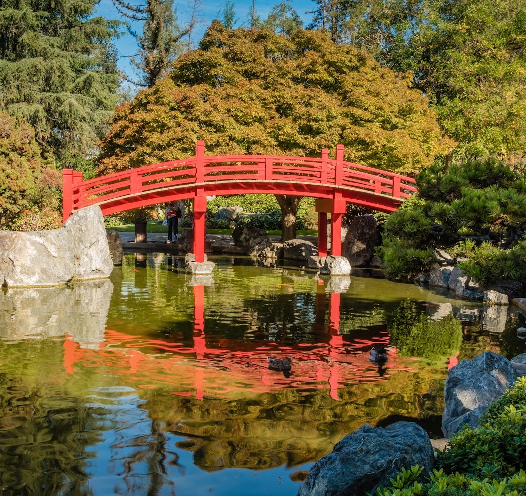 Japanese Friendship Garden 1