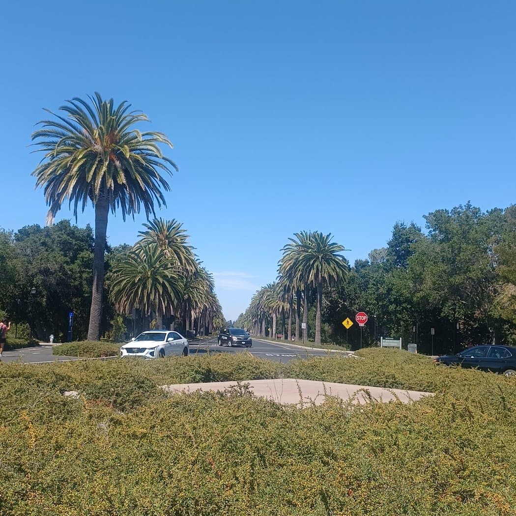 Stanford University Arboretum 3
