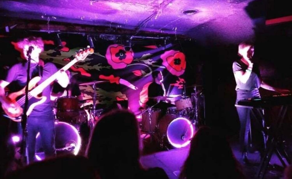 The Blind Pig 3