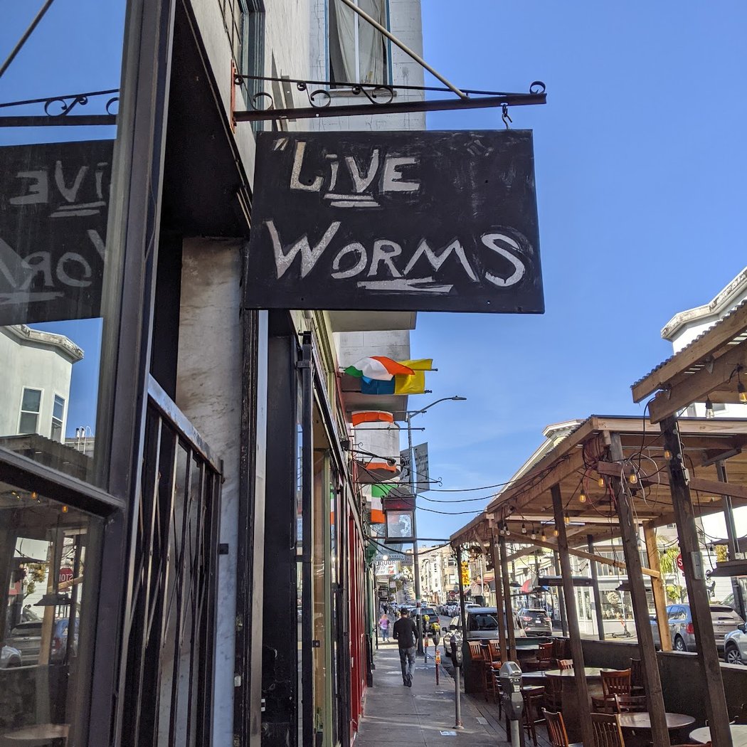 Live Worms Gallery 2