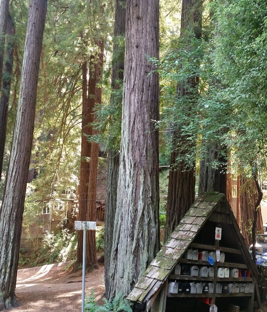 Stolte Grove 2