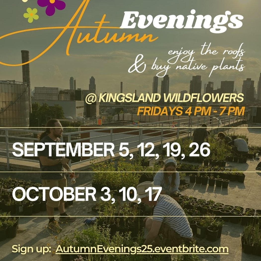 Kingsland Wildflowers Green Roof & Community Engagement Center 1