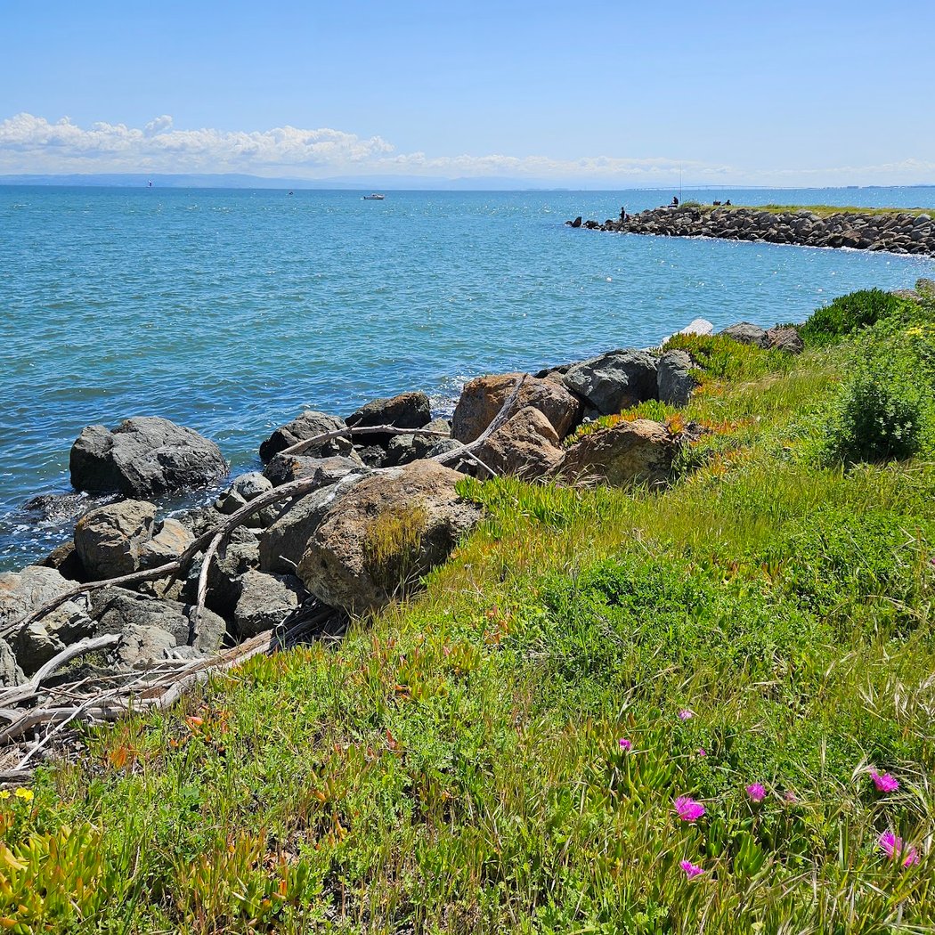 Point San Bruno Park 2