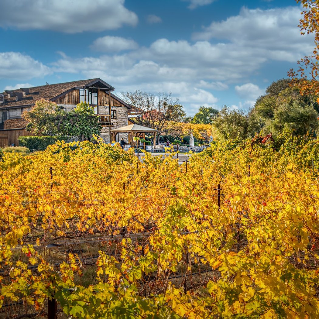 Summer Nights in Livermore Valley Wine Country