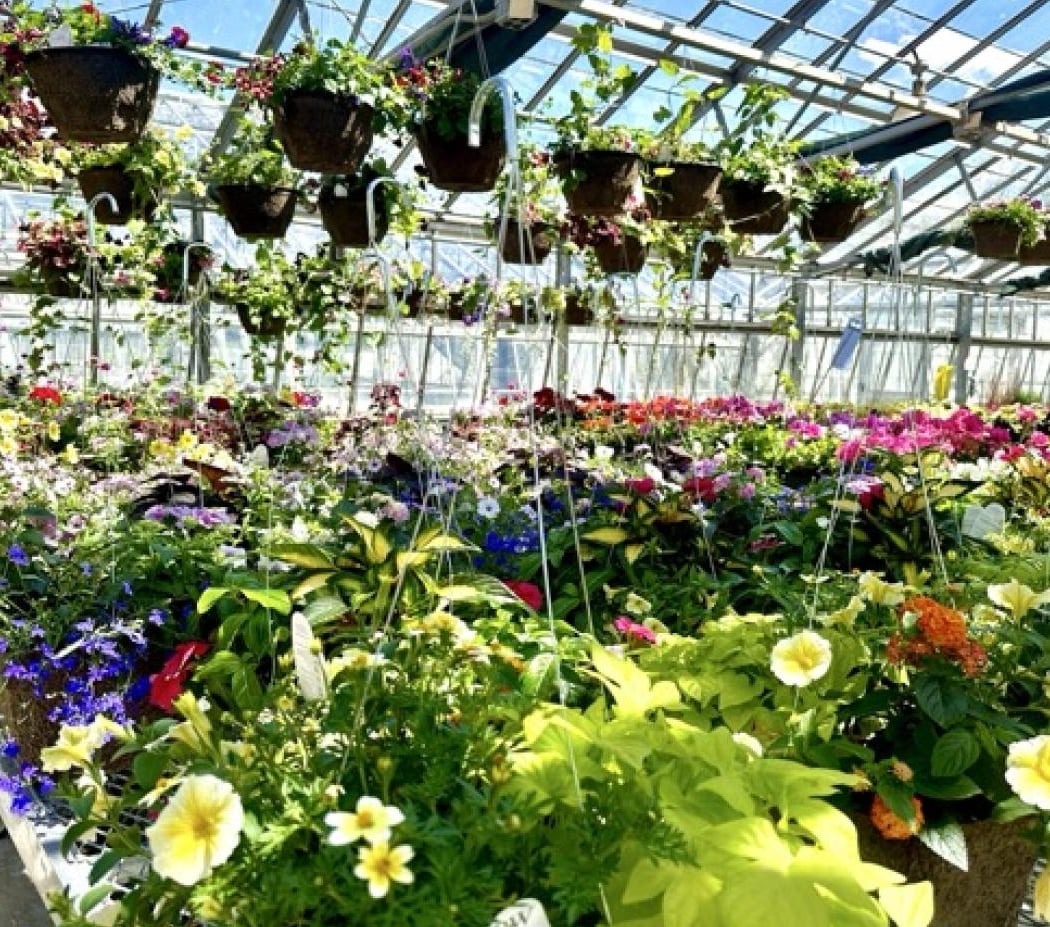 Spring Plant Sale