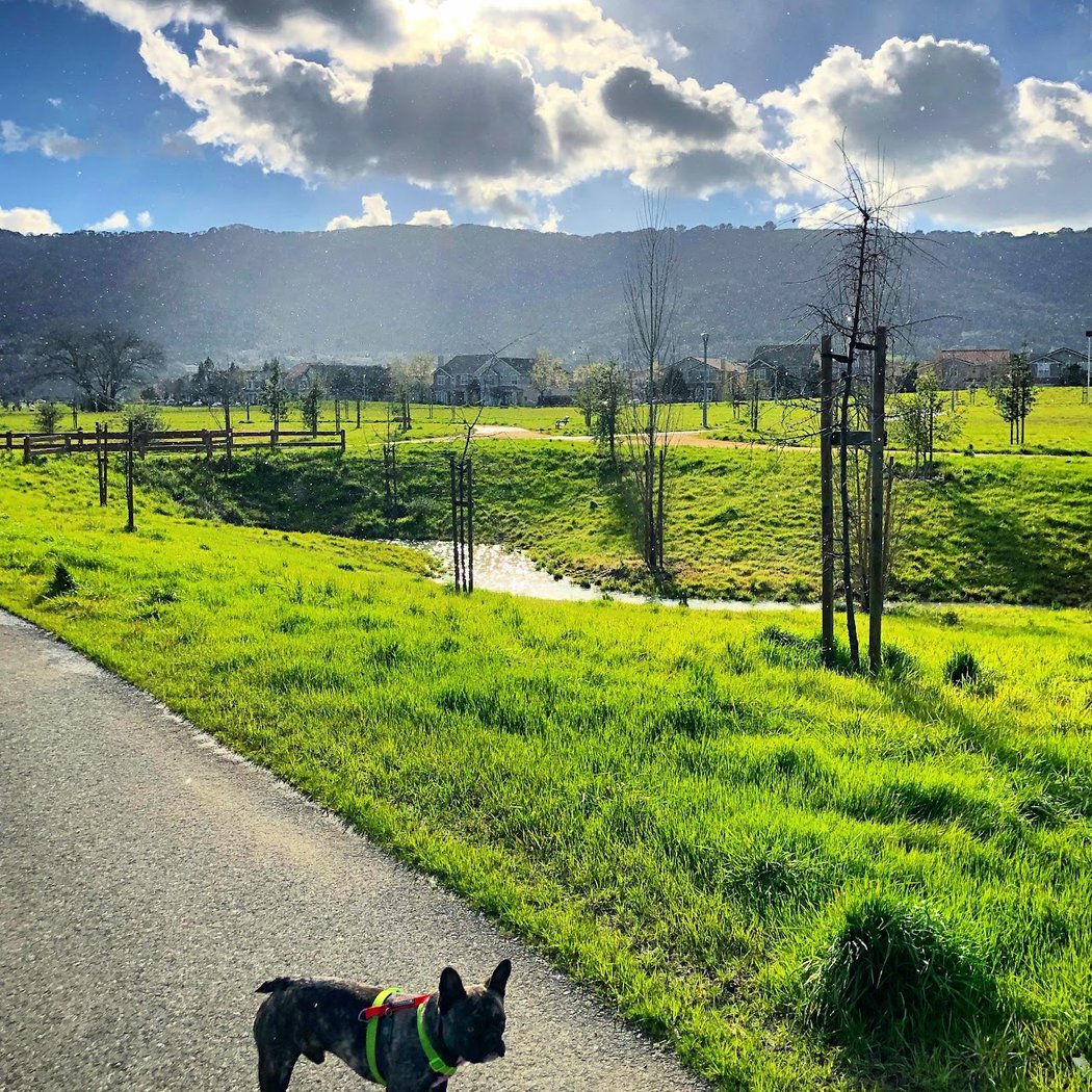 Bernal Community Park 1