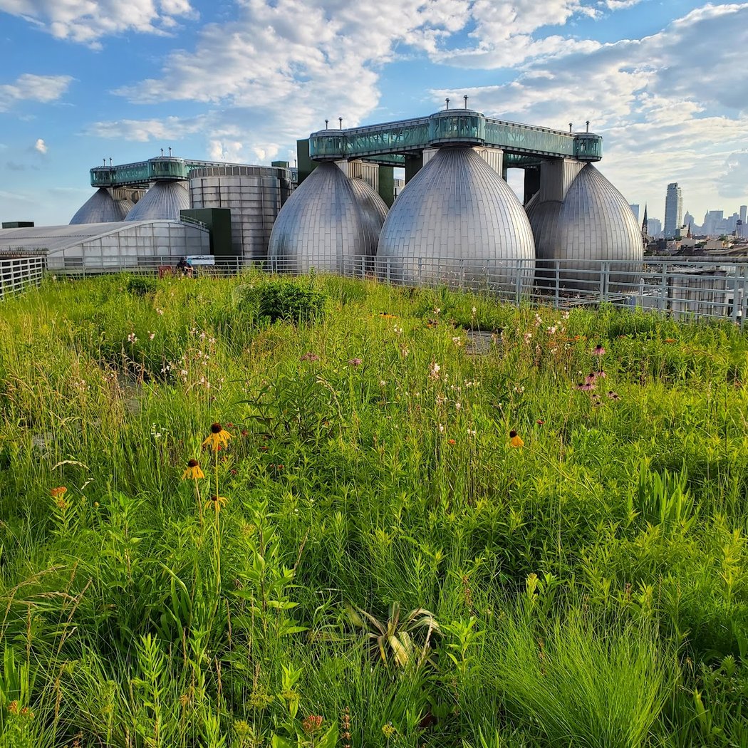 Kingsland Wildflowers Open Hours