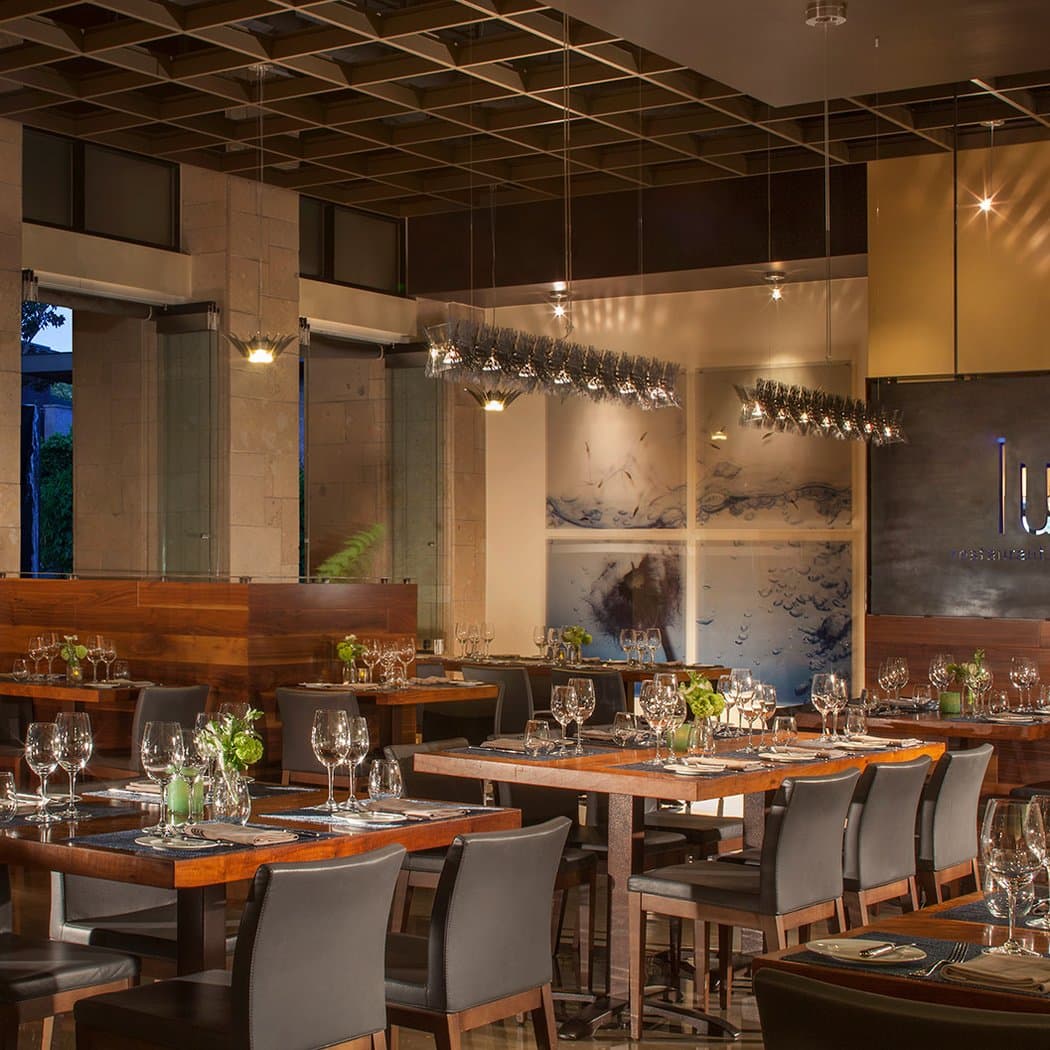 Lucy Restaurant & Bar 4