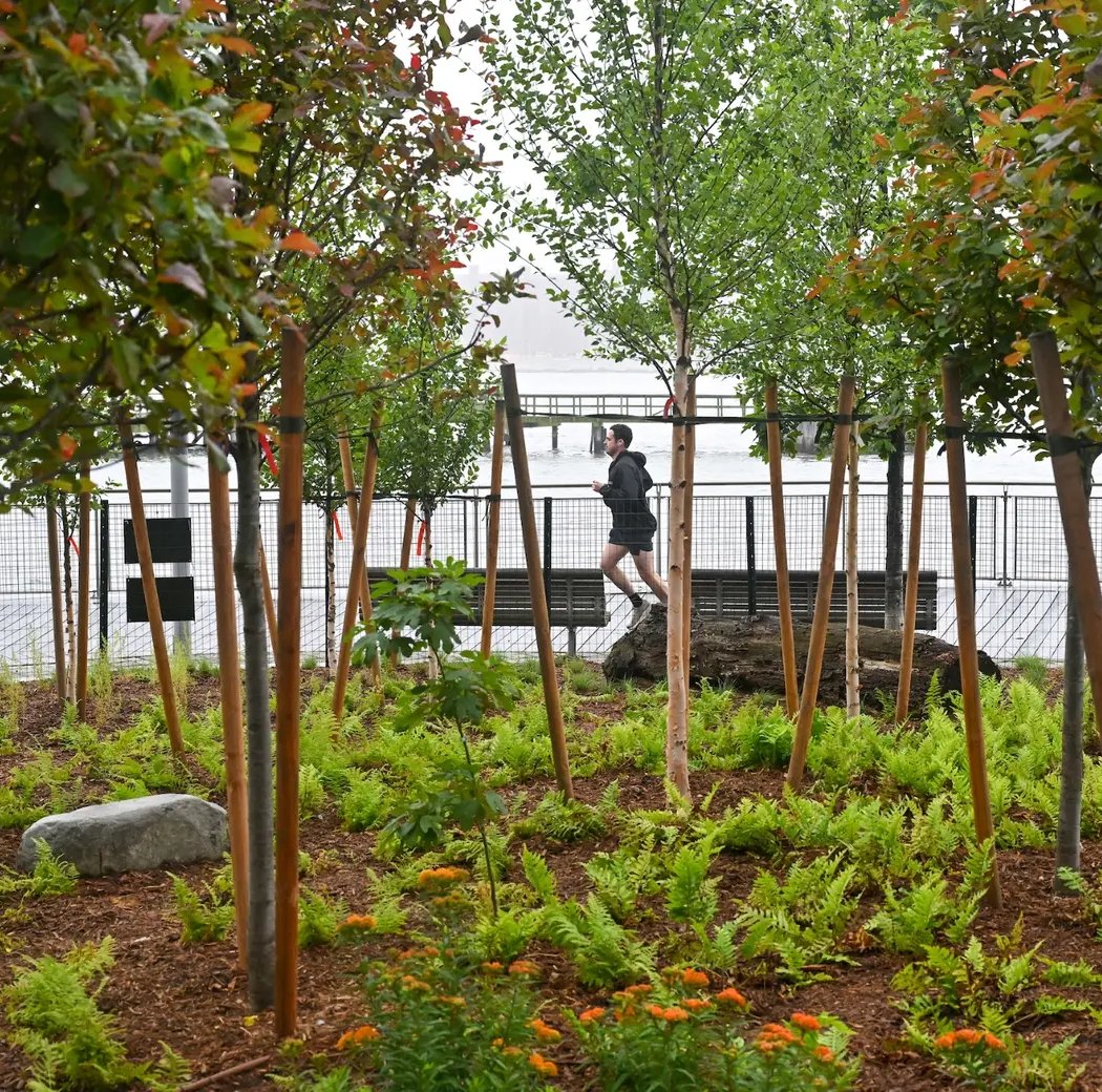 North 5th Street Pier and Park 3
