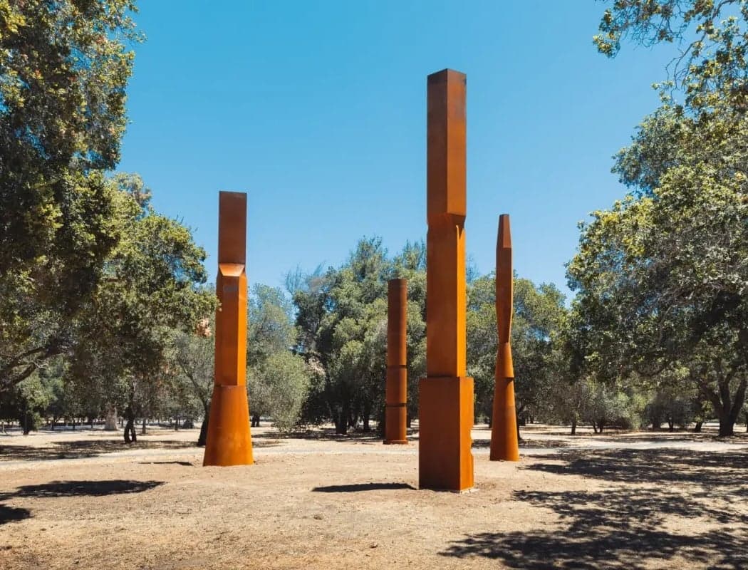 Stanford University Arboretum 1