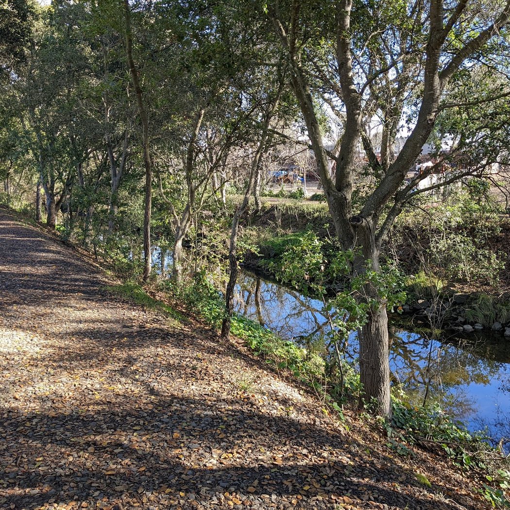 Piner Creek Trailhead 3