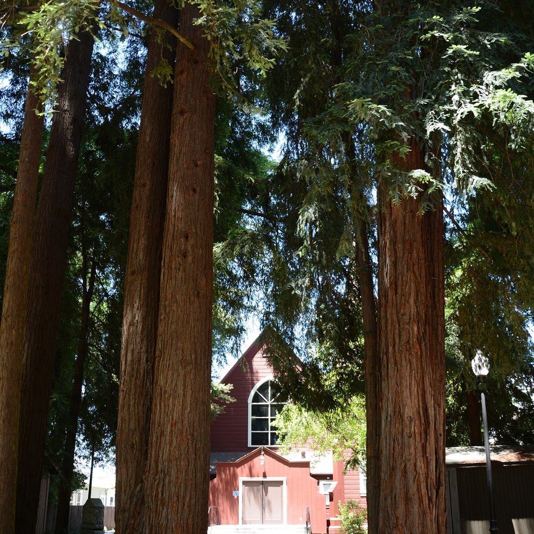 Church of One Tree 1