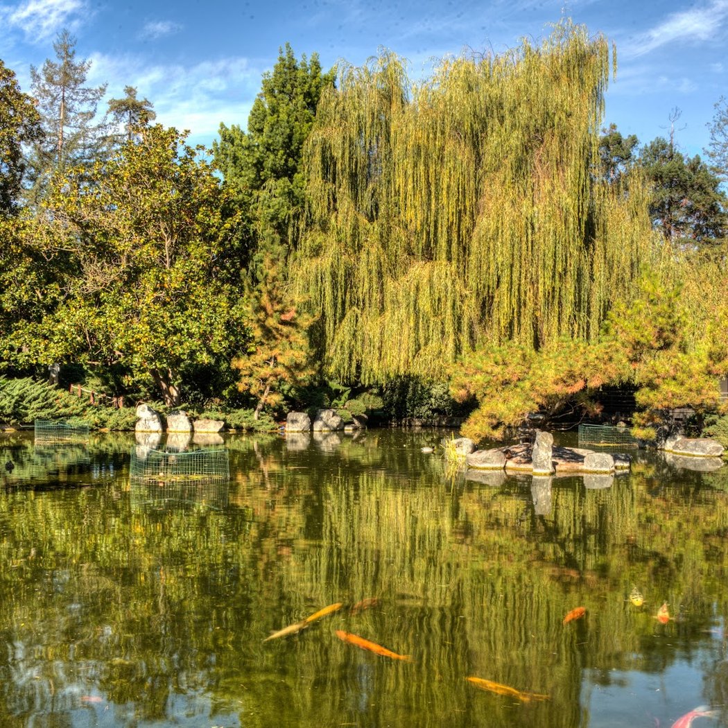 Japanese Friendship Garden 3
