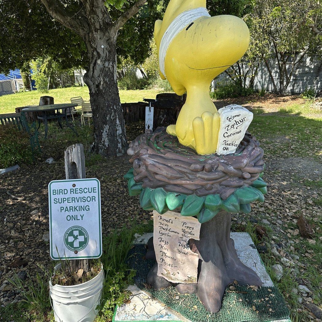 Bird Rescue Center of Sonoma County 1