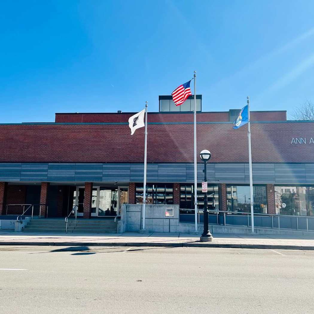 Hand Painting Fabric with Botanical Dyes 3