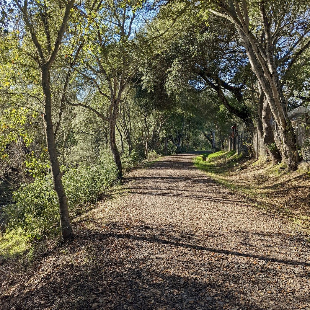 Piner Creek Trailhead 1