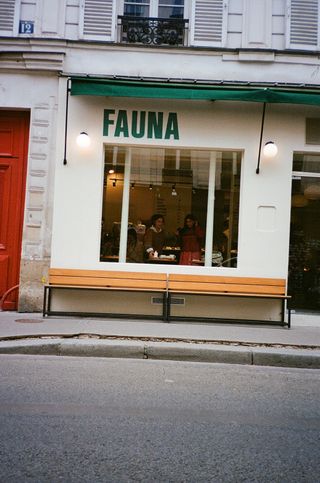 FAUNA 3