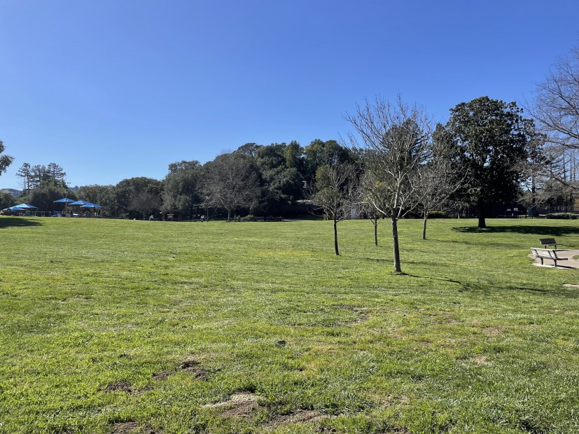 Pioneer Park 3