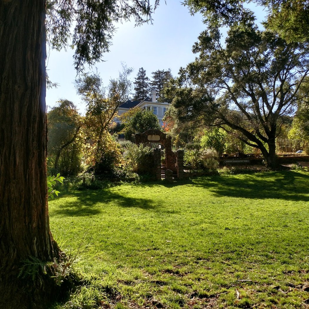 Robson Park 1