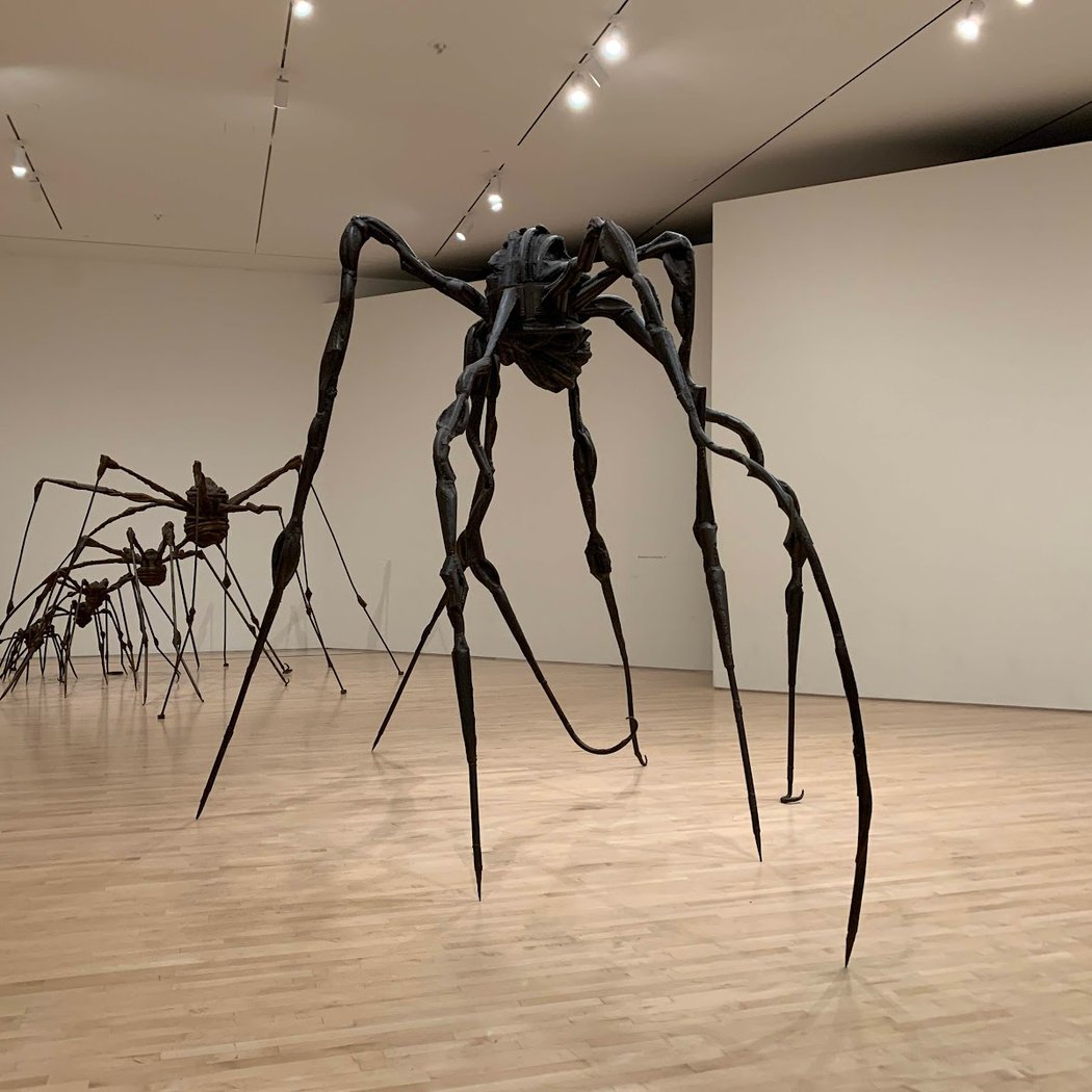 San Francisco Museum of Modern Art 4