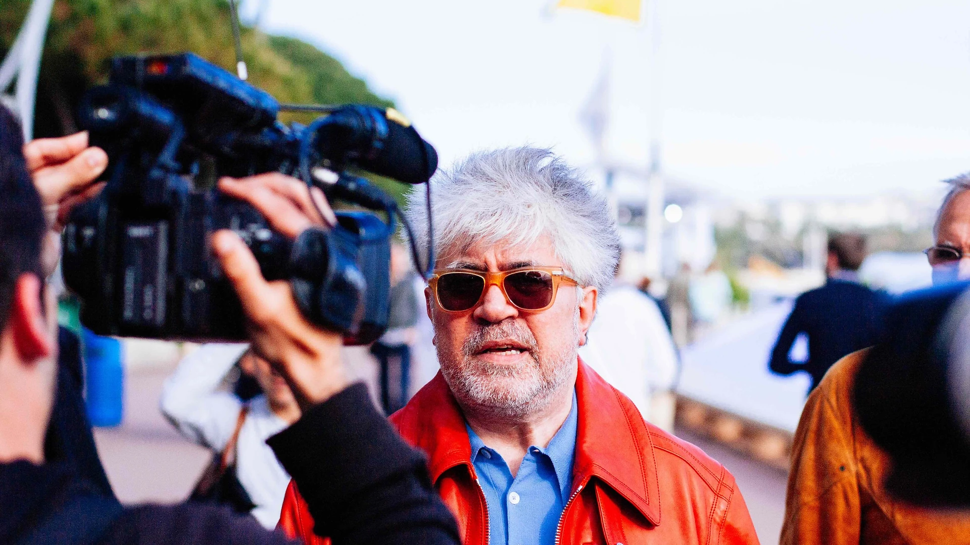 Rétrospective intégrale Pedro Almodóvar