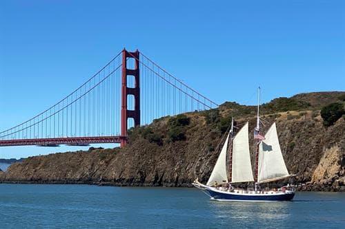 Wildlife Sail under the Golden Gate Bridge 5