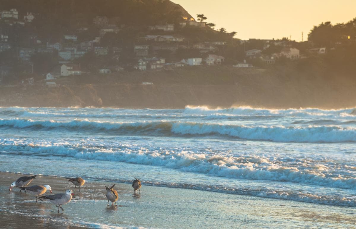 Pacifica State Beach 5