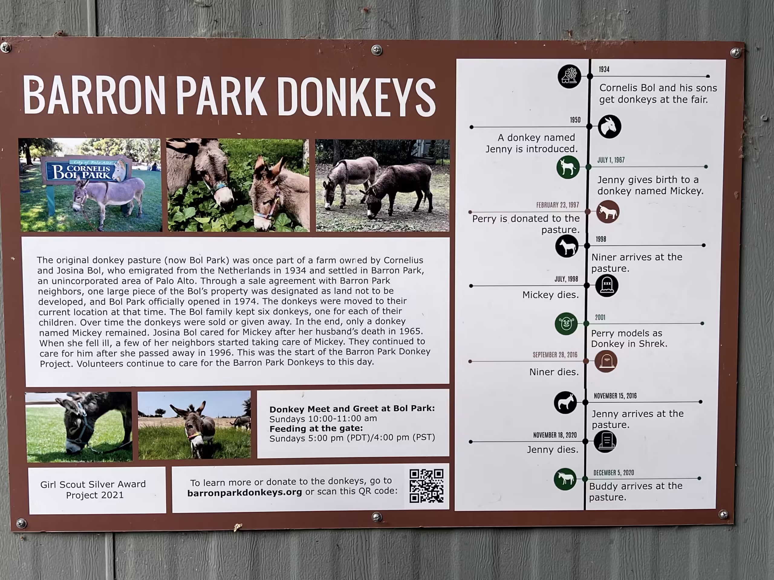Barron Park Donkeys 1