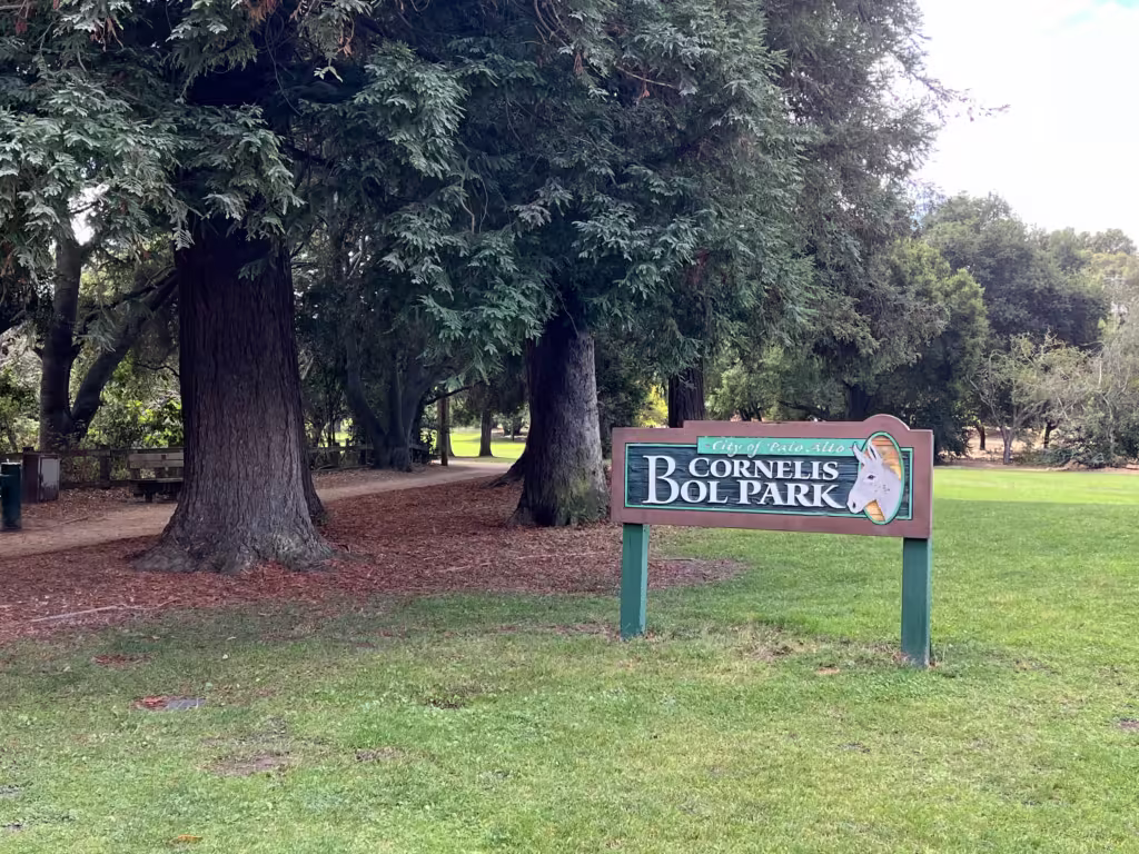 Barron Park Donkeys 2