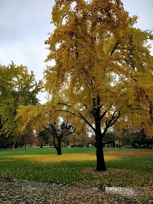 Juilliard Park 3