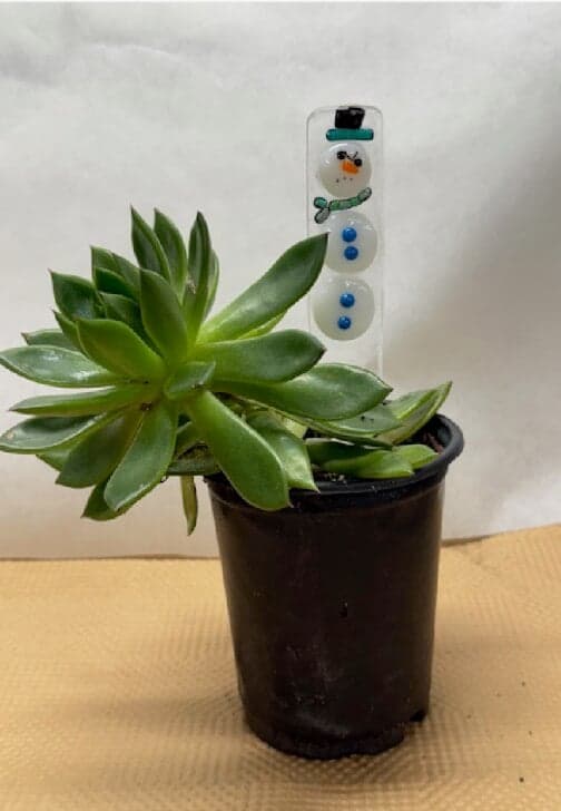 Seasonal Glass Plant Stake Workshop