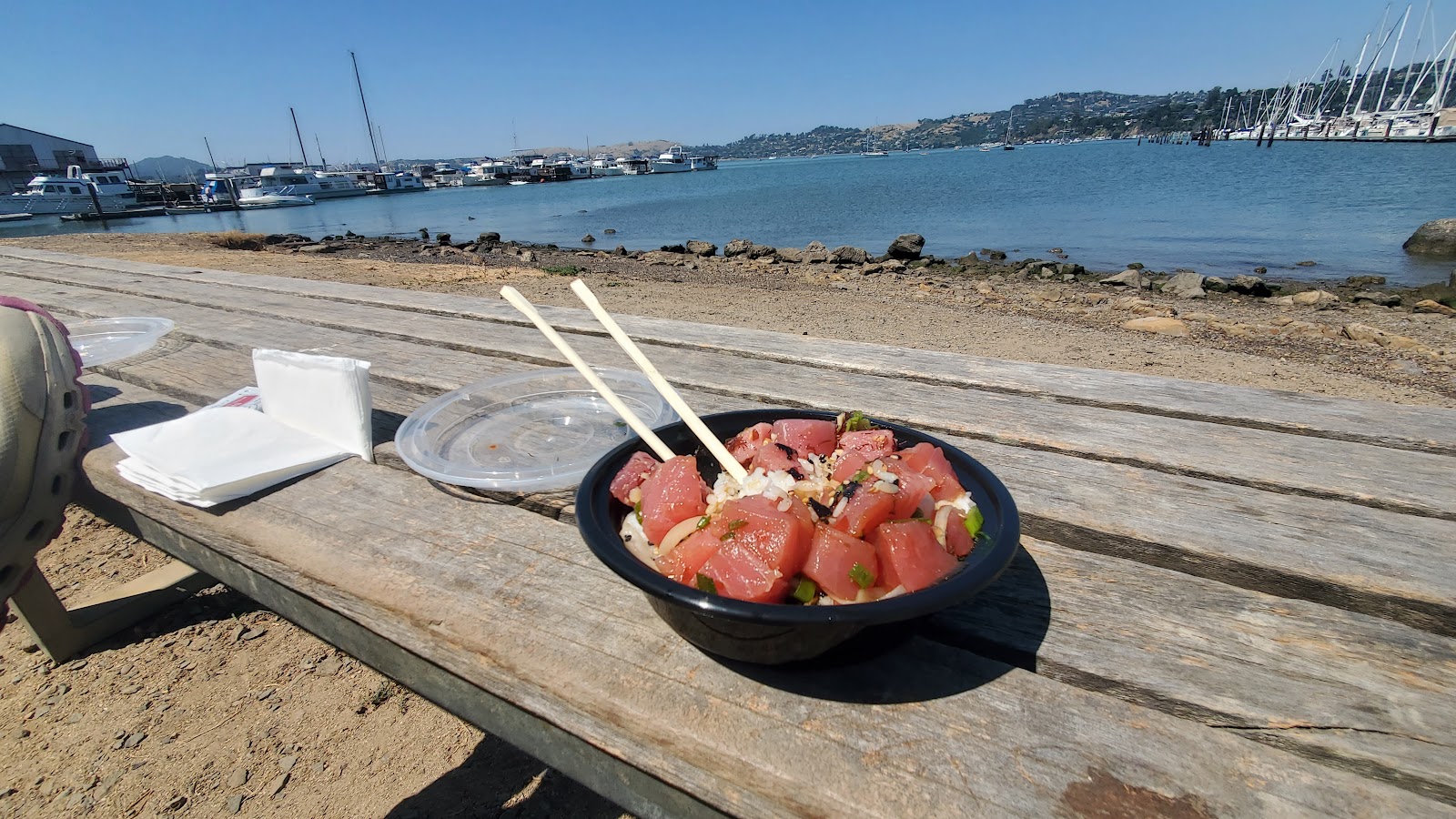 Gilligans Poke Shop 4