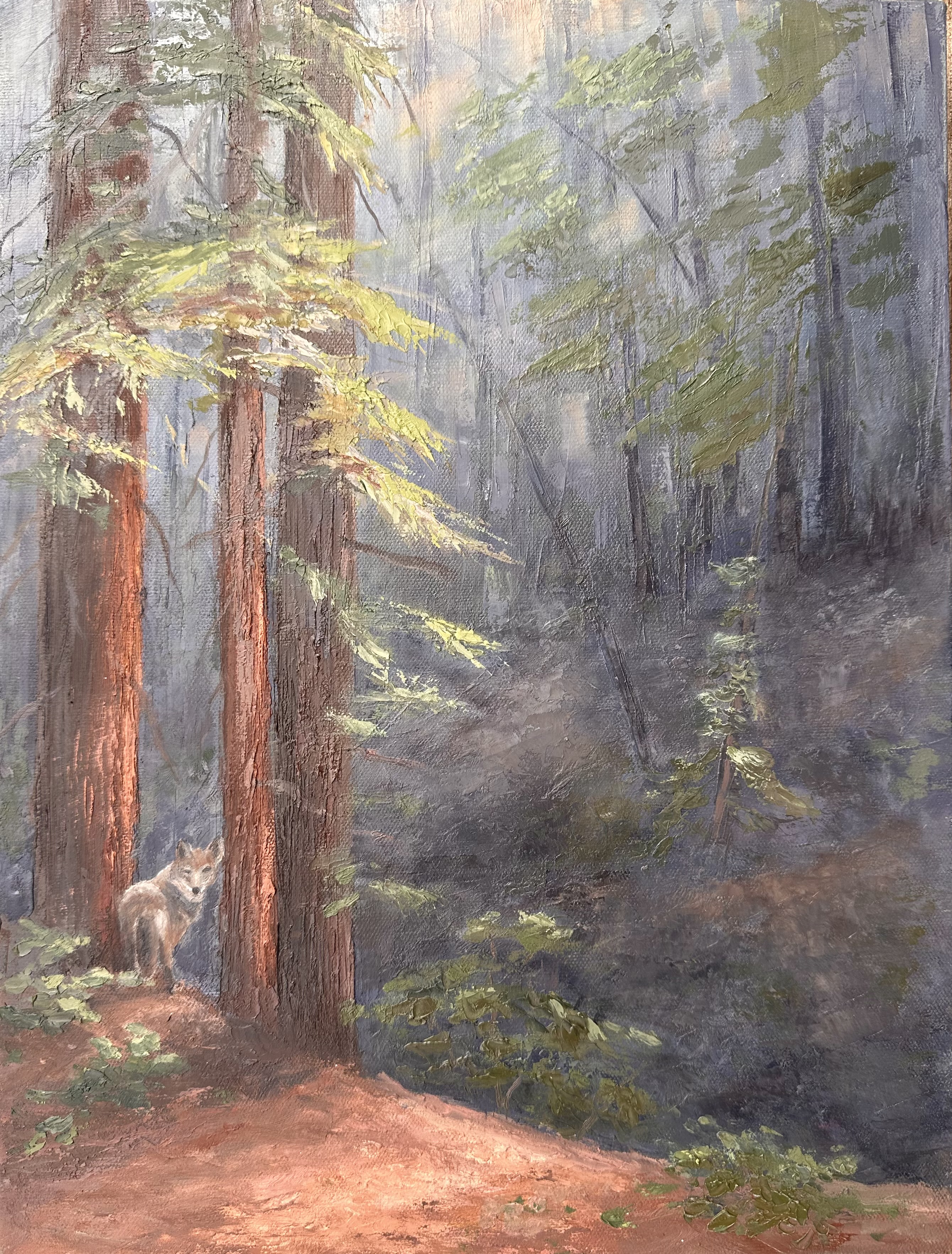Sebastopol Gallery 2