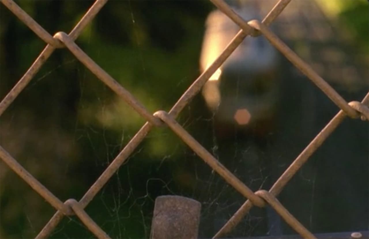 Introduction to 16mm Filmmaking 3