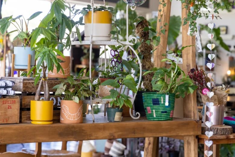 Little Green A Plant Bar 4