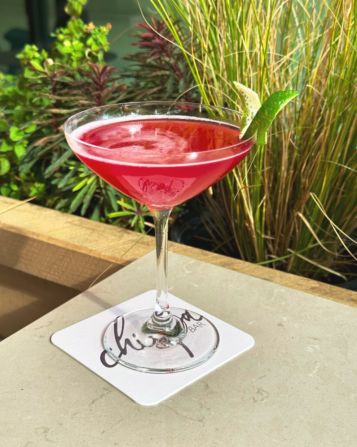 Chispa | Food + Drink 4