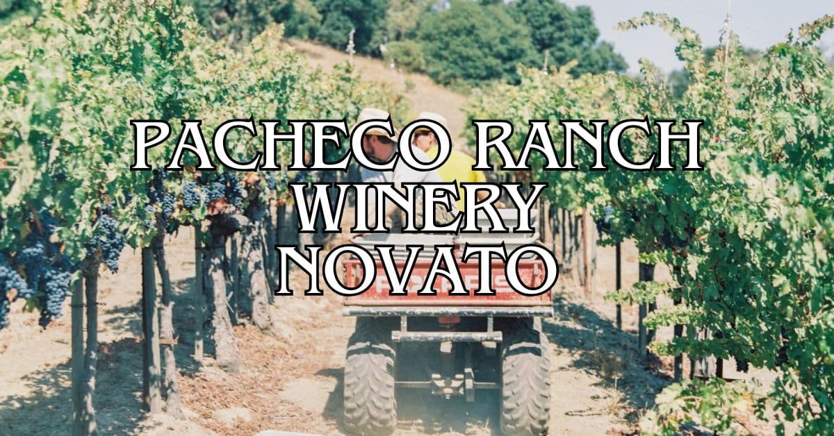 Pacheco Ranch Winery 1