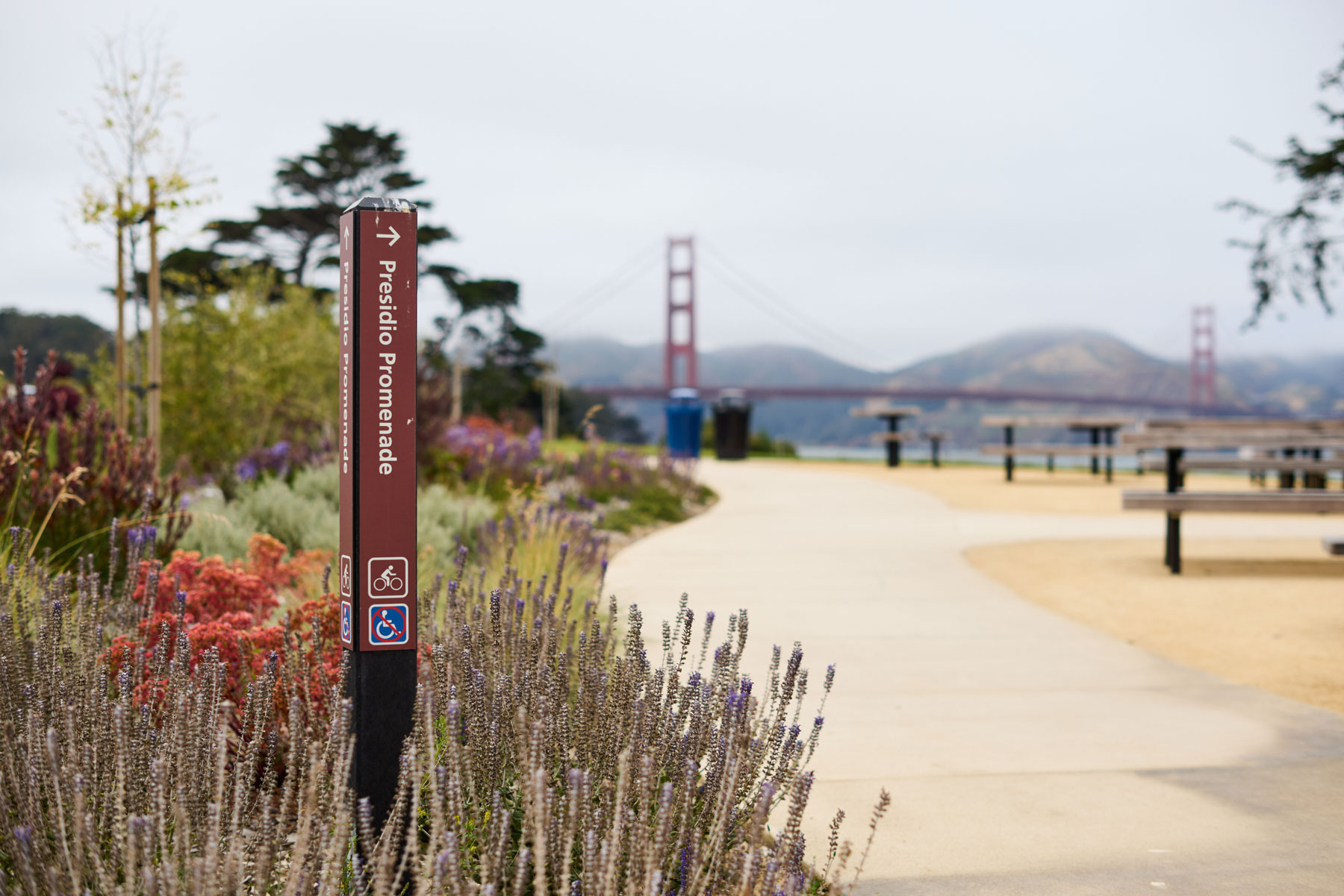 Presidio Promenade Trail 5