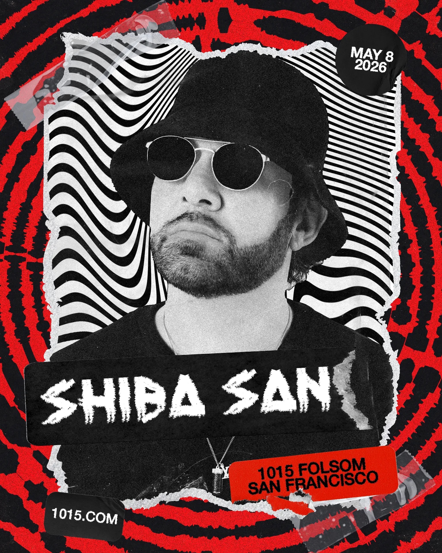 Shiba San 1