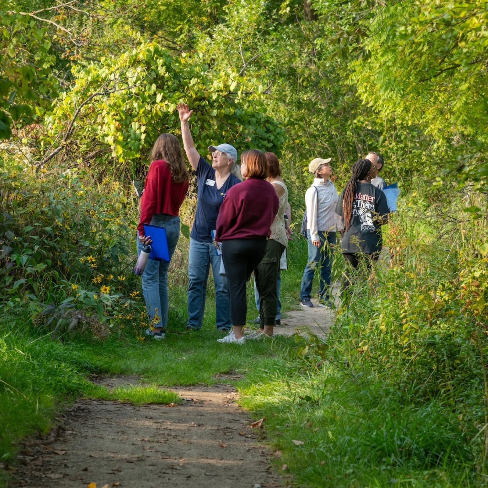 Wonder Walk: It's Public Gardens Week!