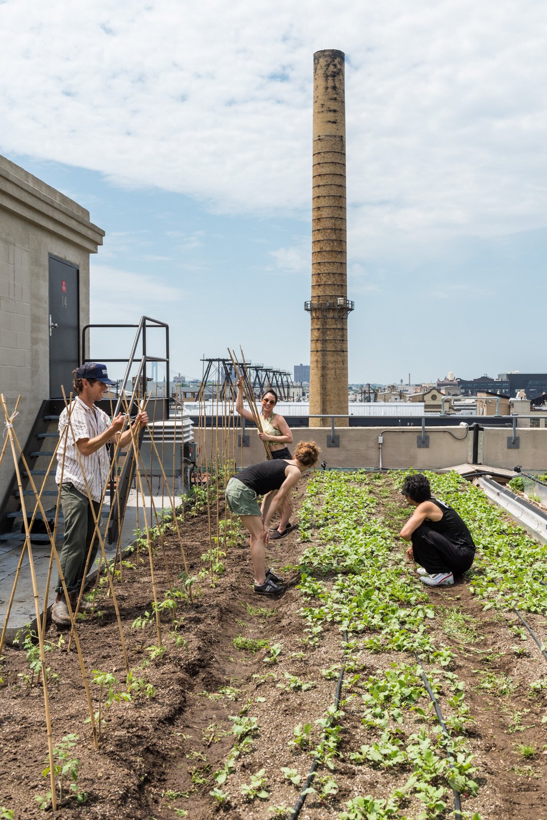 Brooklyn Grange @ Sunset Park 5