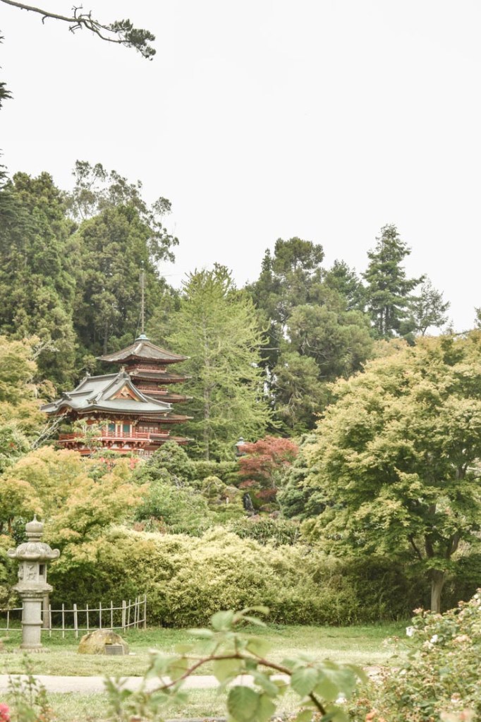 Golden Gate Park 3