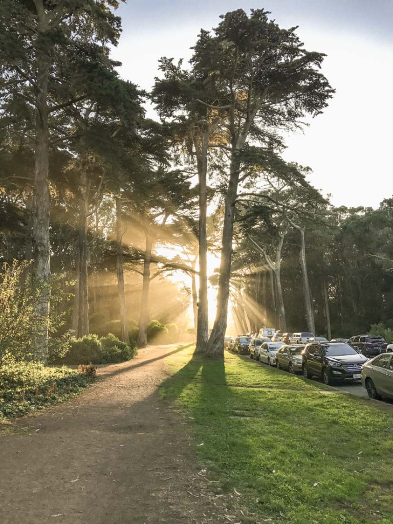 Golden Gate Park 4
