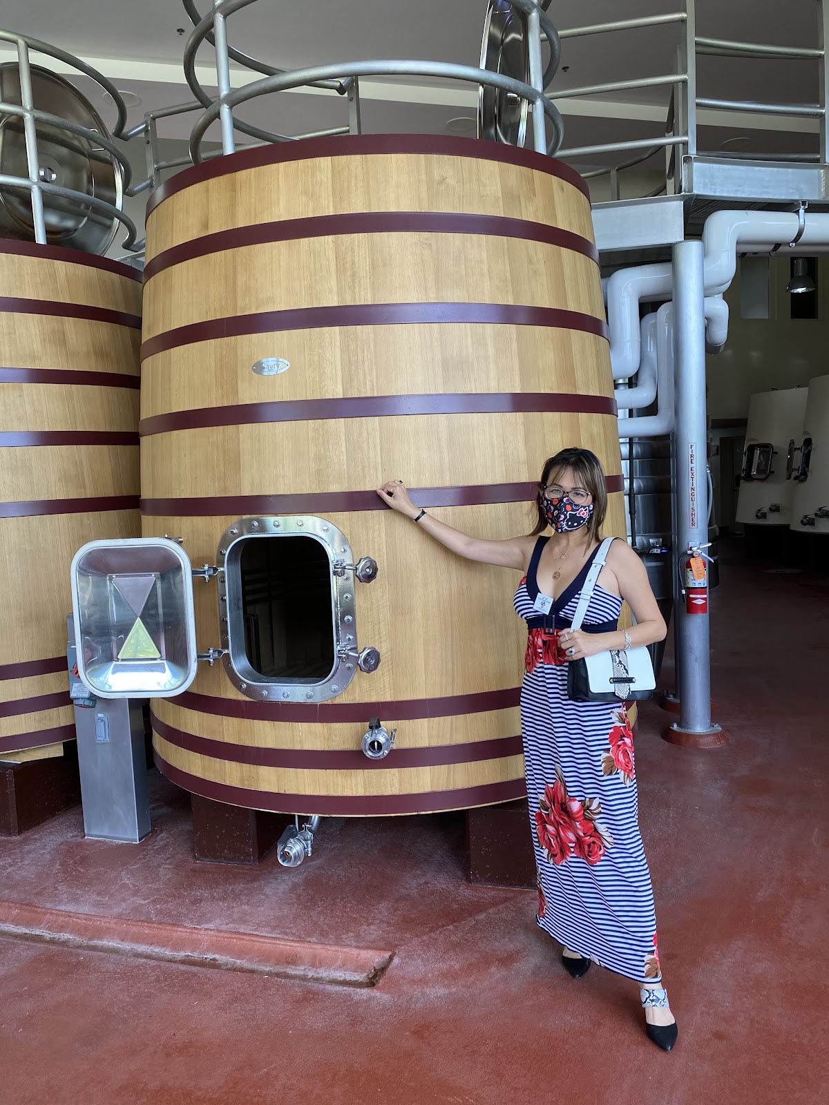 Vineyard 29 5