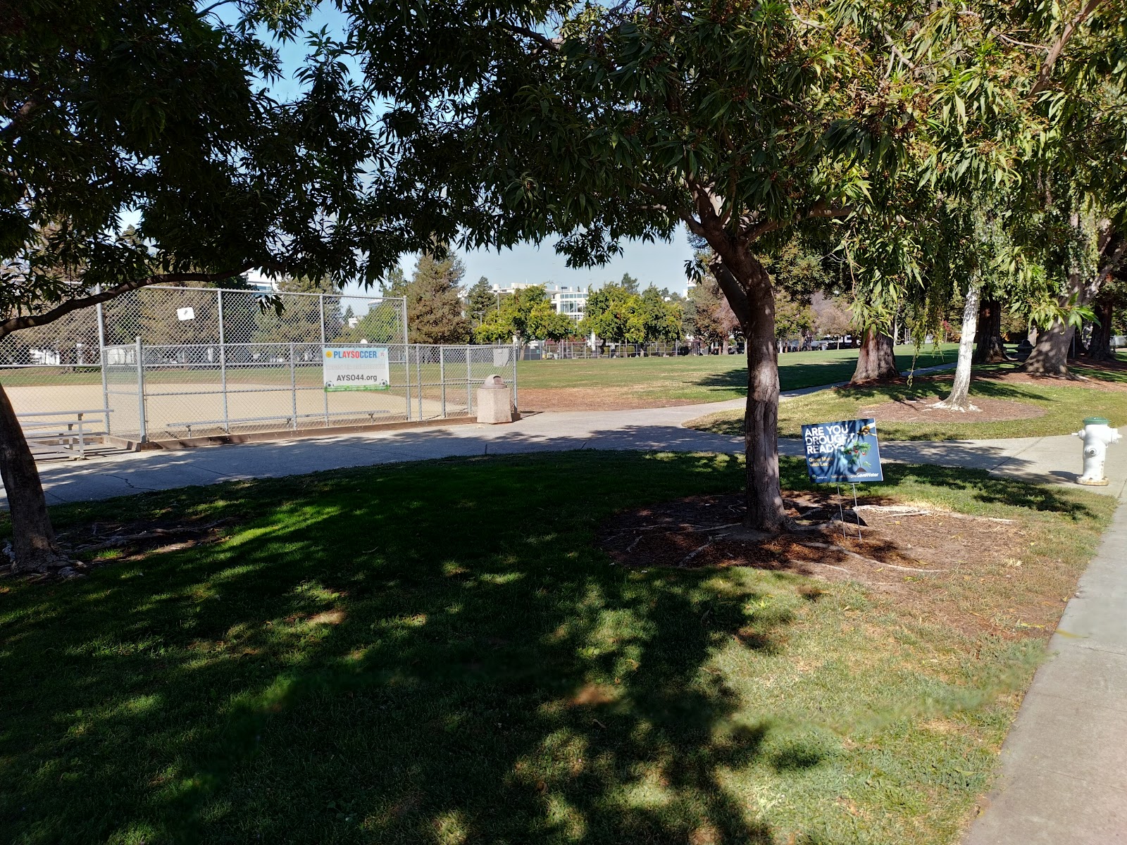 Encinal Park 4