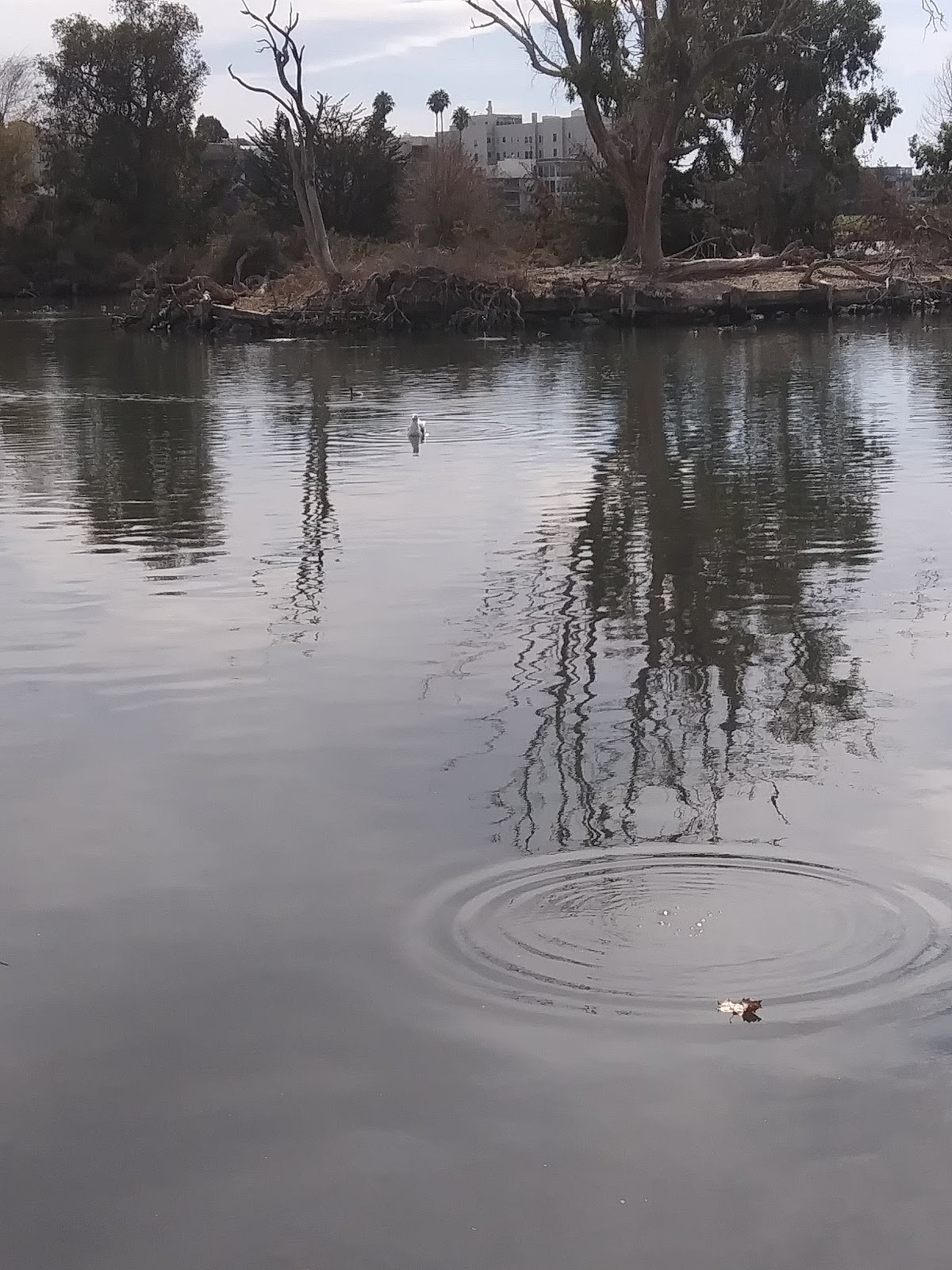 Lake Merritt Labyrinth 4
