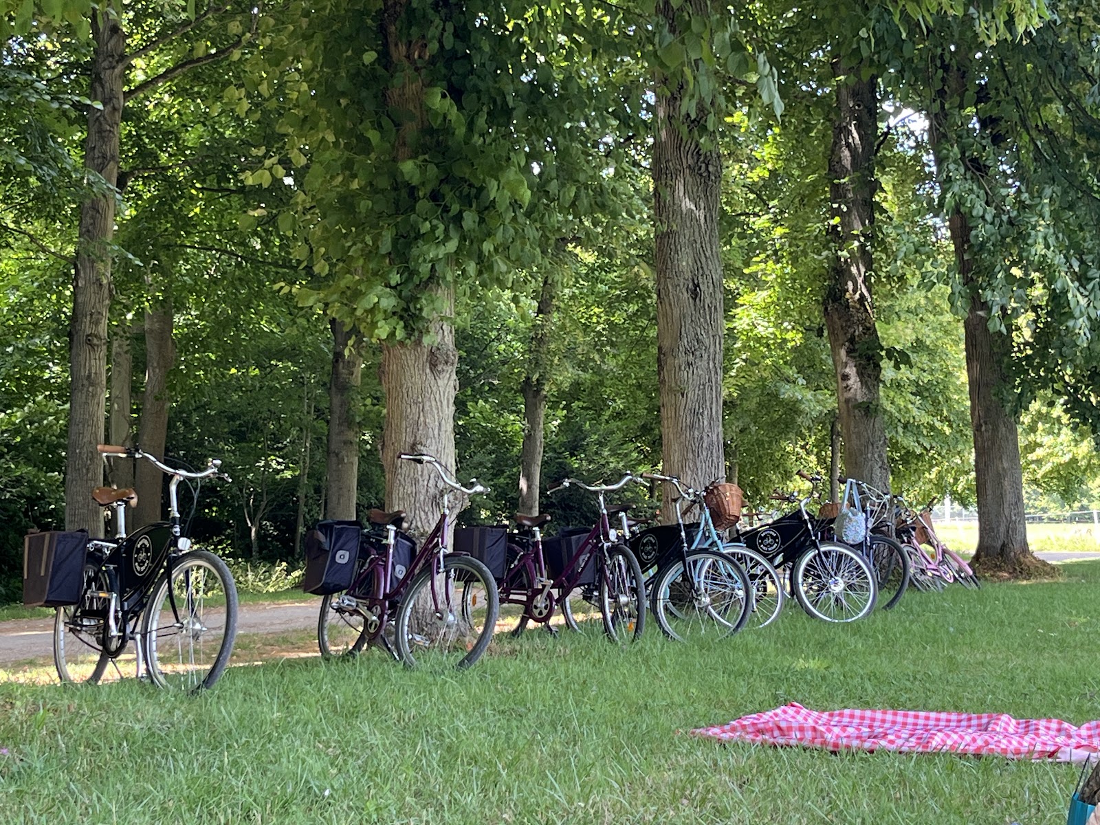 Boutique Tours – Boutique Bike Tours 5