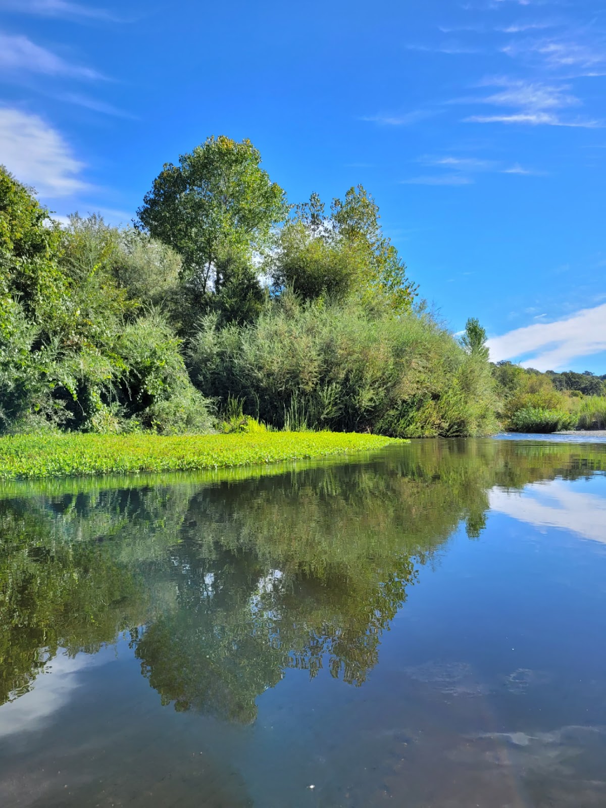 River's Edge Kayak & Canoe 4