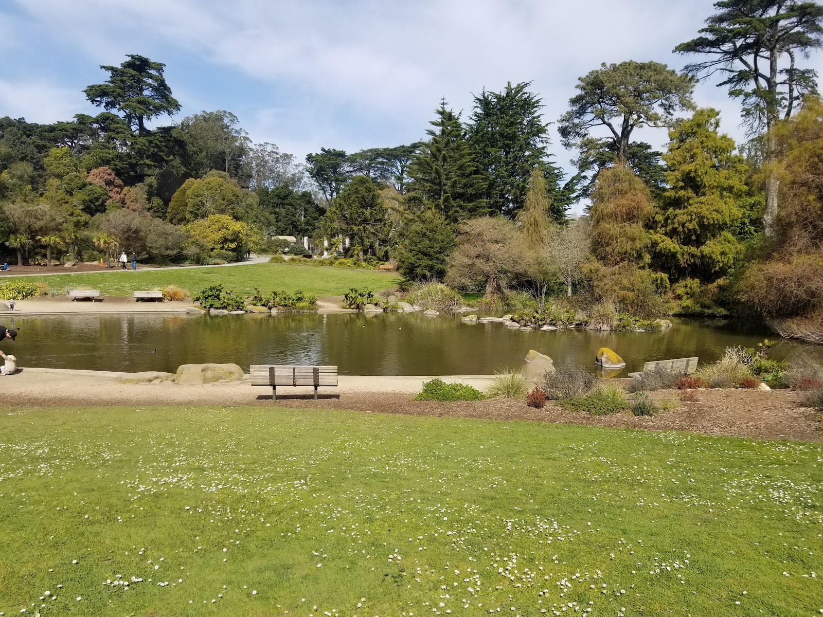 Japanese Tea Garden Visit 4