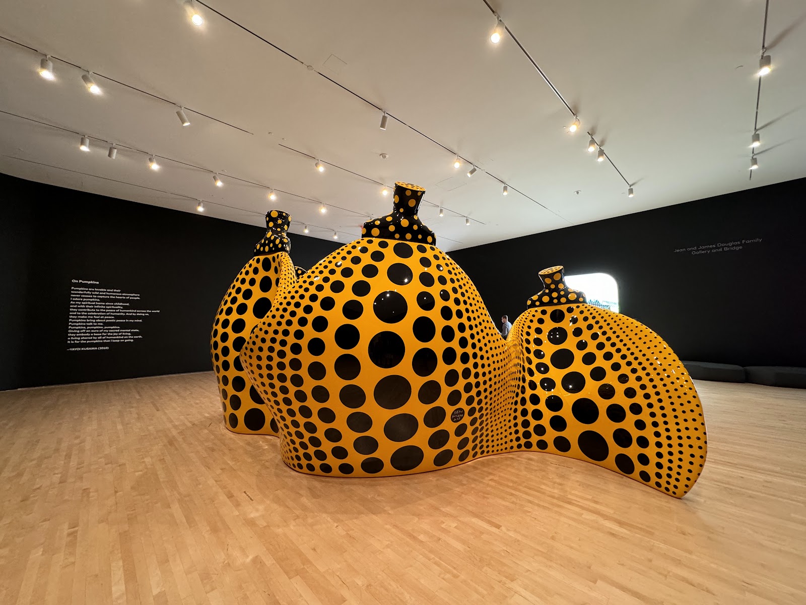 San Francisco Museum of Modern Art 5